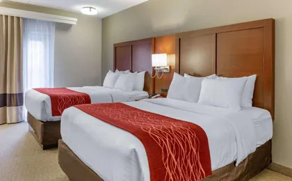 Comfort Inn Lancaster - Rockvale Outlets