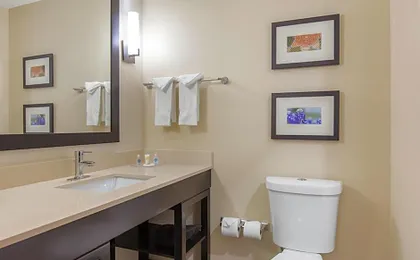 Comfort Suites - South Austin