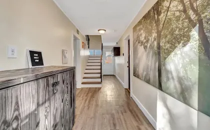 Swann Avenue Central Tampa Homes