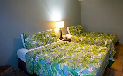 Upper Deck Hotel and Bar - Adults Only