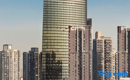 Vienna Hotel (Chongqing Yuanjiagang Metro Station)