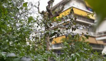 Harokopio Apartment in Athens