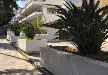 Casa Dama