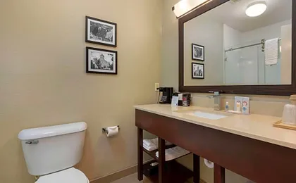 Comfort Inn & Suites Fayetteville-University Area