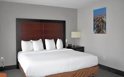 Wingate By Wyndham Atlanta Galleria Center
