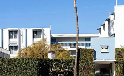 Short Stories Hotel Near The Grove