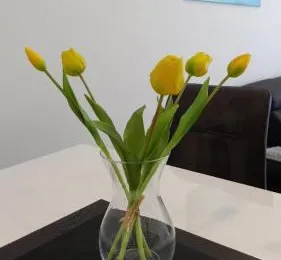 Lux apartman Antonija