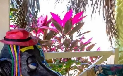 Pousada Das Galinhas
