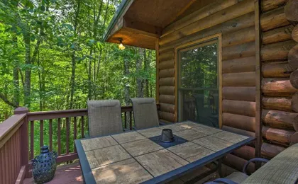 Lake Blue Ridge Cabin by the Chatahoochie Forest