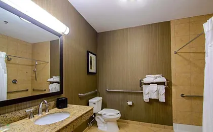 Holiday Inn Arlington Northeast By IHG
