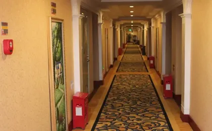 Vienna Hotel Shenzhen Songgang Street