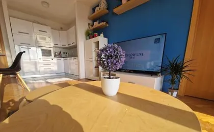 City Apartment Sanja