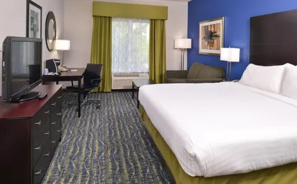 Holiday Inn Express & Suites San Antonio South
