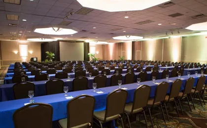Holiday Inn Binghamton Downtown