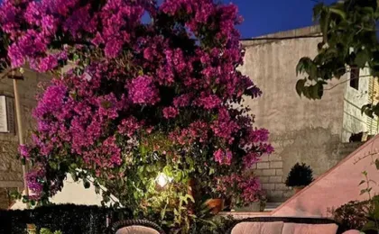 Elegant Trogir Apartment With Garden Terrace