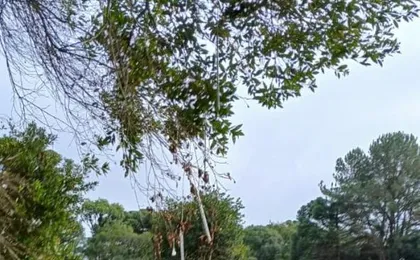 Estalagem Coracao Da Mata
