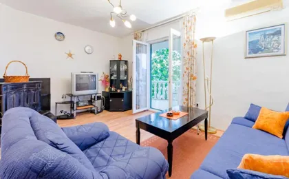 Apartment Ljubo