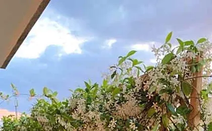 In Terrazza Da Giusy