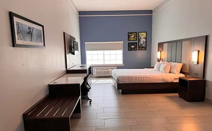 La Quinta Inn & Suites by Wyndham Alamo - McAllen East