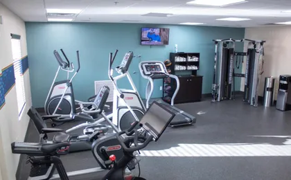 Hampton Inn Big Rapids
