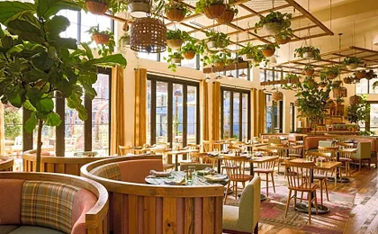 Treehouse Hotel Silicon Valley