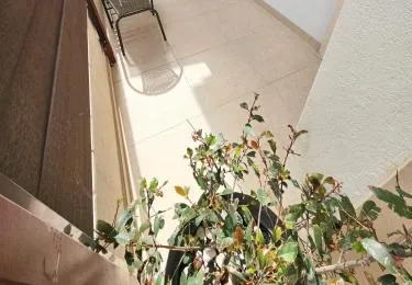 Apartmani Majic