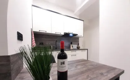 Apartments Mis-For You in City Center
