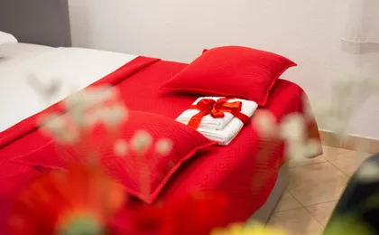Apartment Kokolo with sea view