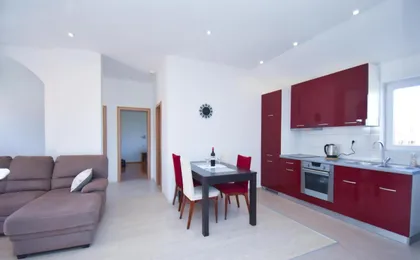 Apartment VIP