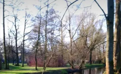 Ruhiges Zimmer in Pankow