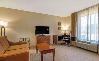 Comfort Inn & Suites Macon West
