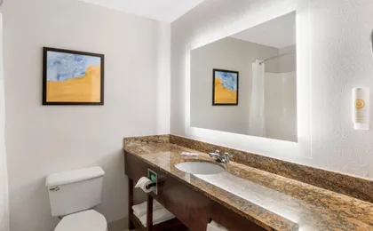 Comfort Inn & Suites Suwanee - Sugarloaf