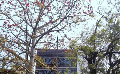 Madhuban Hotel