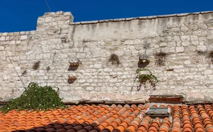 Studios Aurelia Palace (Adults Only)