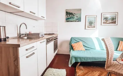 Apartments with Wifi Rijeka - 16539