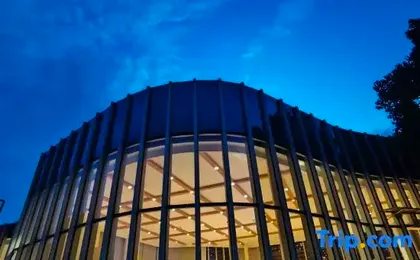 Sanju Puju (Chongqing Nanshan Scenic Area Botanical Garden Store)