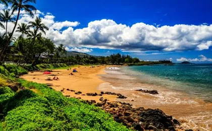 Beautiful 1 Bedroom Condo with Ocean Views | Oceanfront