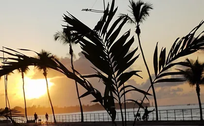 Apartamento Praia Em Salvador Terreo
