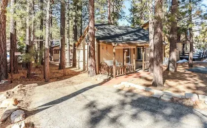 Pines 23 #1438