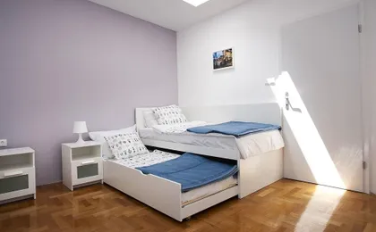 Paw Rooms