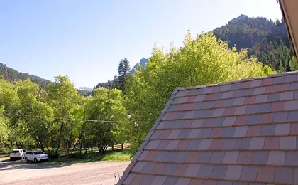 Black Bear Manor