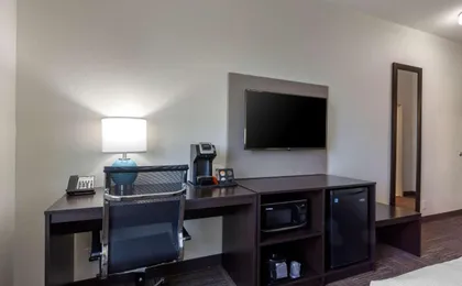 Sleep Inn And Suites Tampa South