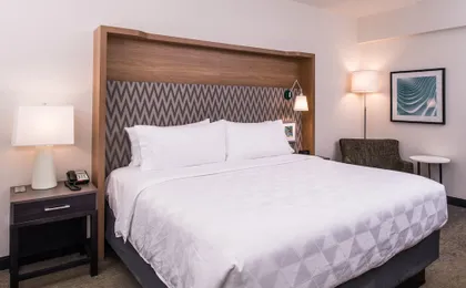 Holiday Inn Detroit Northwest - Livonia