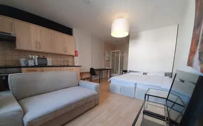 Studio Apartment in South Kensington 10