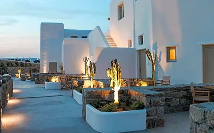 Mykonos Cactus