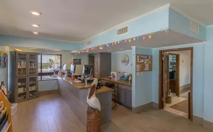 Tiki 327 - 1br Oceanview Condo With Large Balcony 1 Bedroom Condo