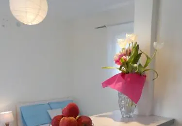 Mini City Center Studio