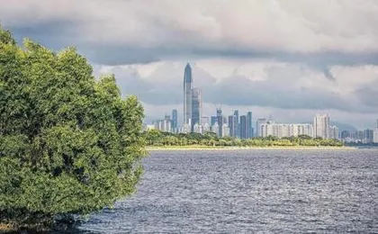 Xiangmei Jingtian North Branch