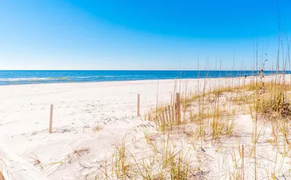 Buena Vista 2 by Southern Vacation Rentals