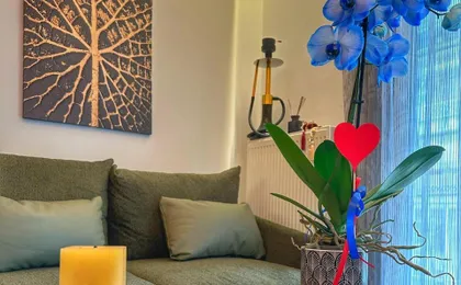 Psimithefto Luxury Apartments